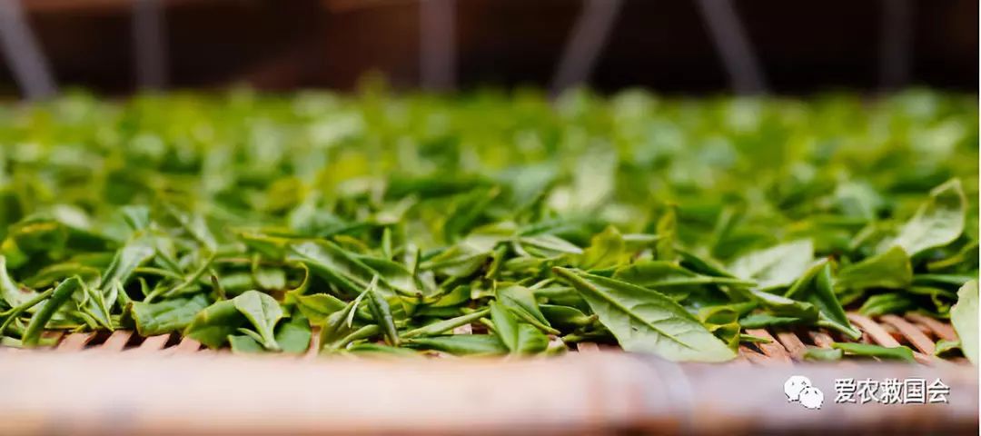 宀╄尪鍒惰尪鏁欏,鍒惰尪宸ヨ壓涓庤尪鏂囧寲