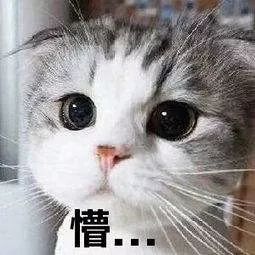 放假通知要提前计划好,放假通知准备就绪