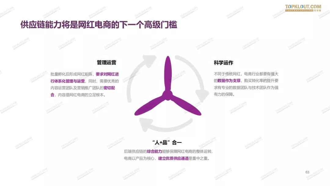 2019网红电商生态白皮书,2024电商新生态品牌增长峰会回放