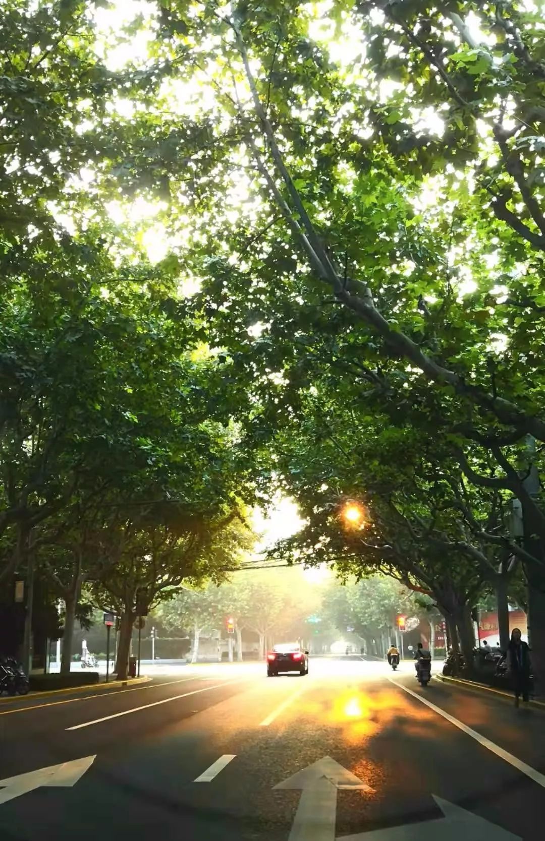 美美哒景观路,美美哒一道绚丽的风景线