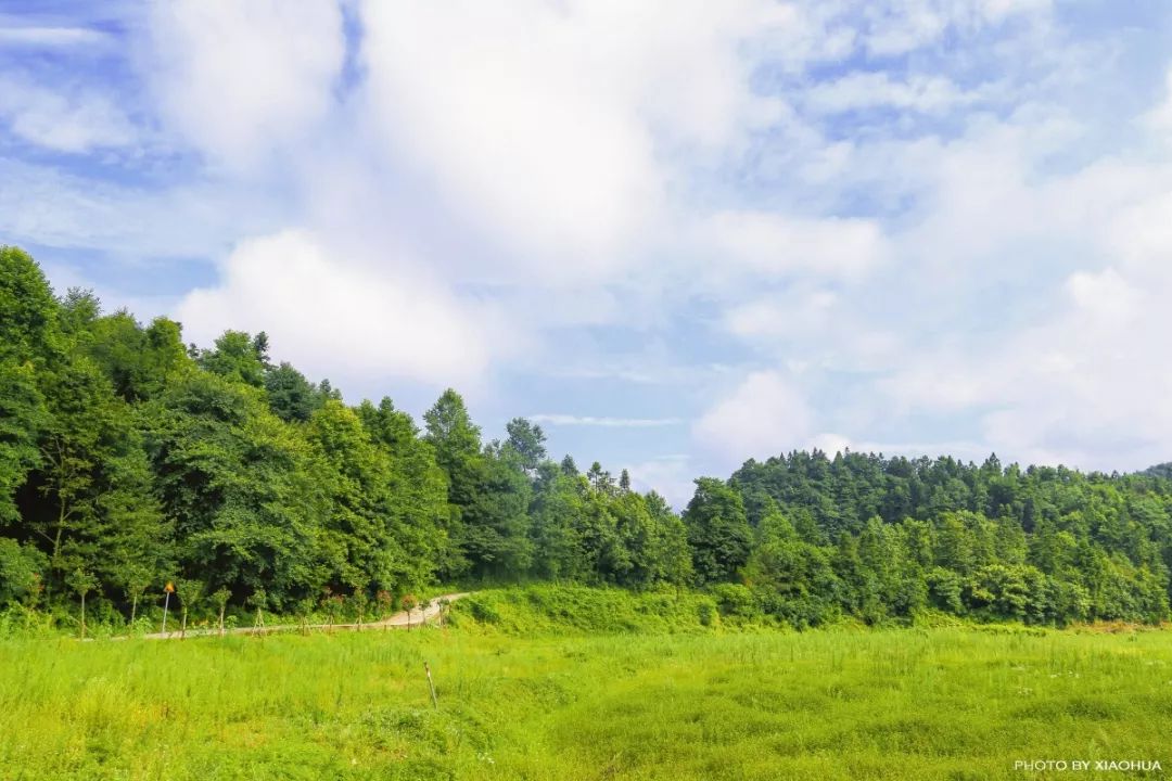 周末陪家人游大自然,周末陪家人到郊外游玩