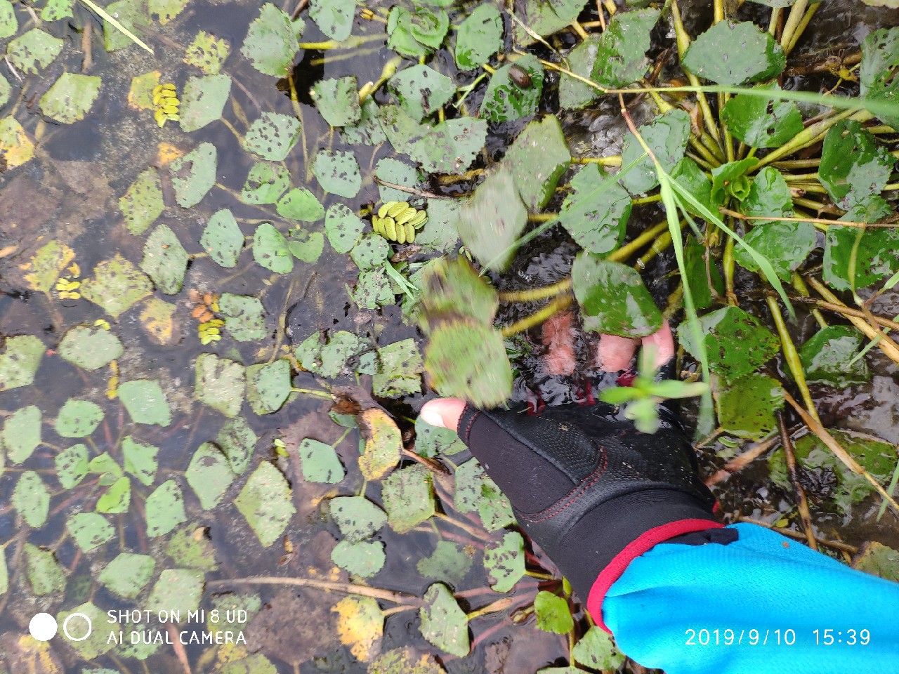 鼓轮经常爆线是什么原因,鼓轮爆线怎么办