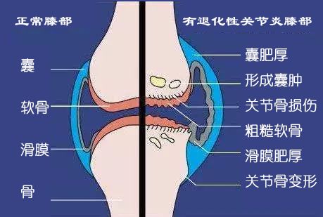 千万别信这些养生方法视频,千万别信这些养生方法都是骗人的