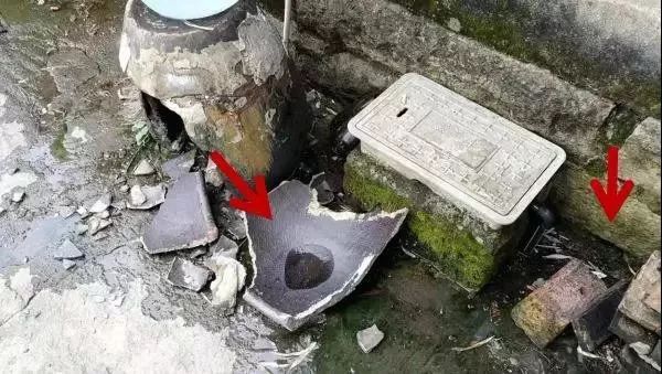 预防登革热时刻在行动,科普清理小积水防控登革热