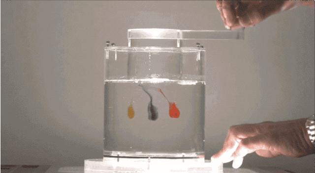 你见过一种能够回到“过去”的流体没？