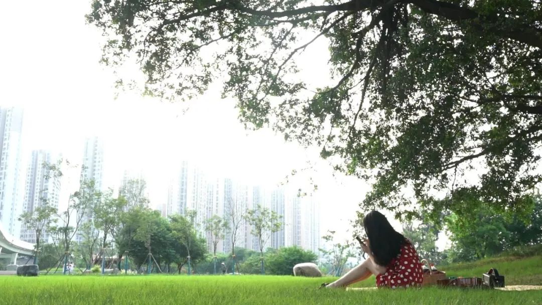 晋江足球公园比赛官方门票,晋江足球公园中超比赛门票