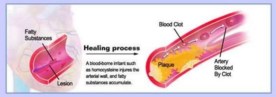 健康新指标,健康指标有哪些