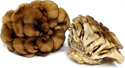 为什么日本会有很多减肥法,你永远不知道努力减肥