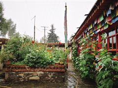 海东市松花顶,海东市乐都区松花顶