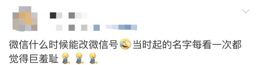 淘宝怎么把昵称改回会员名,淘宝可以改淘宝账号名字吗