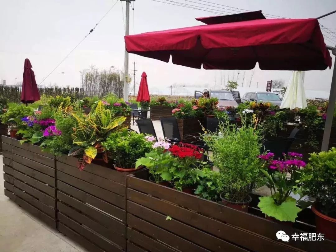 今年来爆火的网红民宿,50款网红院子网红民宿