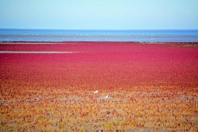 自驾锦州盘锦铁刹山路线,辽宁棋盘山自驾游攻略