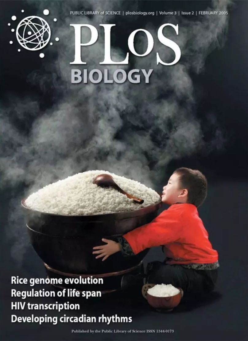 垃圾分类都不容易,垃圾分类难的原因有哪些