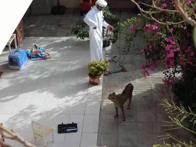 迪拜最有钱女人,迪拜和哪个国家关系好