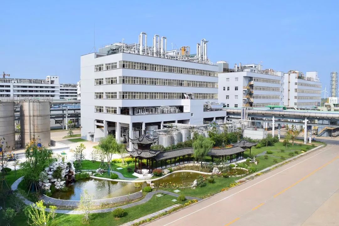 老马的一天600字记叙文骆驼祥子 (老马开心的一天)