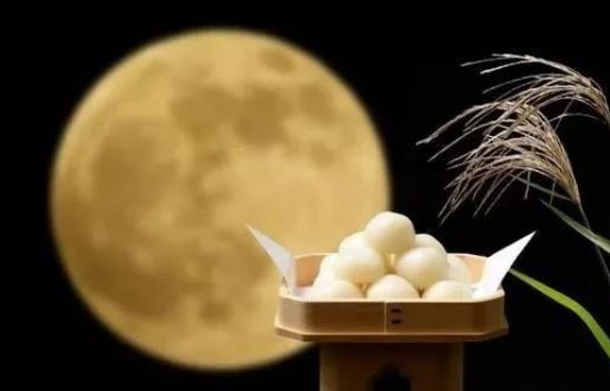 但愿人长久中秋共婵娟什么意思,但愿人长久中日共婵娟是什么意思