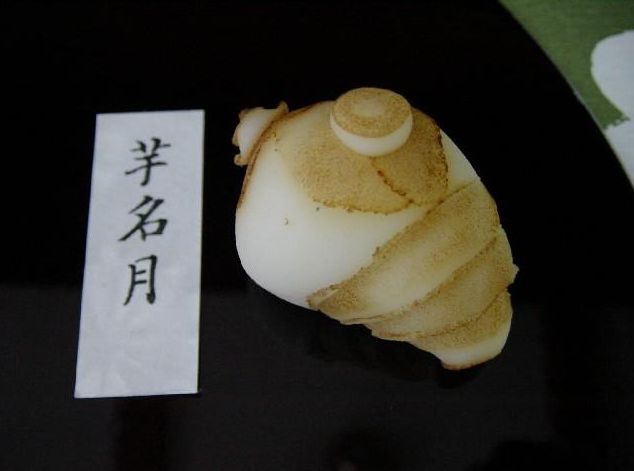 但愿人长久中秋共婵娟什么意思,但愿人长久中日共婵娟是什么意思