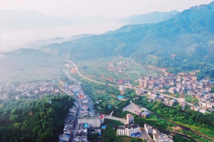 平南新消息,平南最新动态