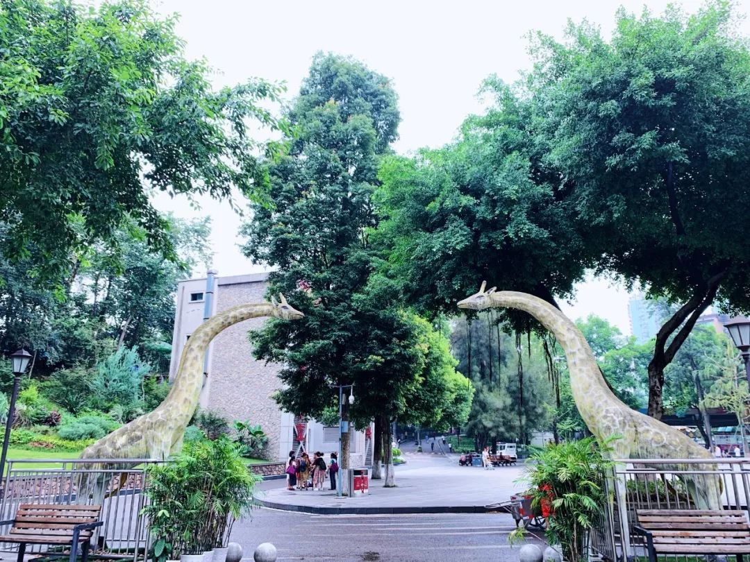 沙坪坝有哪些免费公园,沙坪坝公园推荐