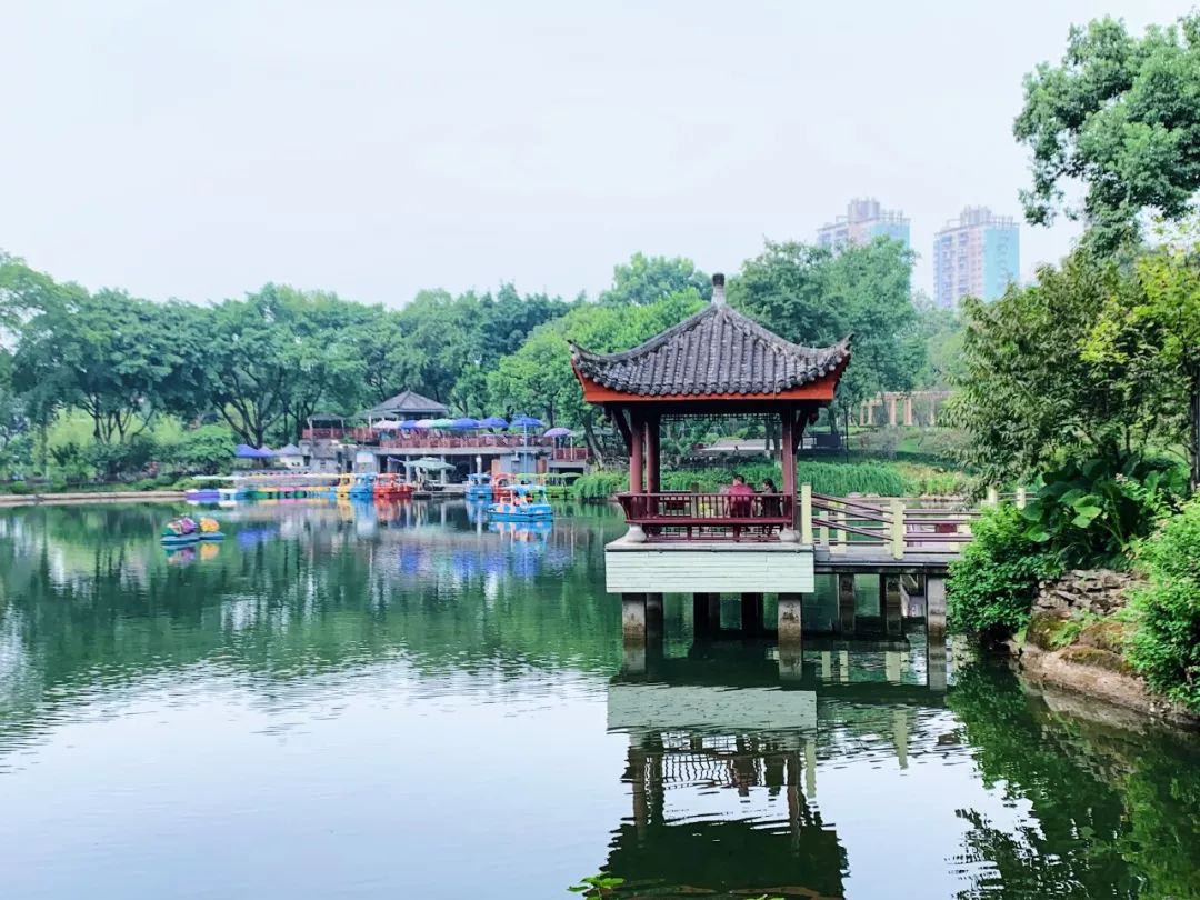 沙坪坝有哪些免费公园,沙坪坝公园推荐