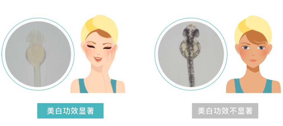 小鱼亲测靠谱吗,小鱼亲测权威度