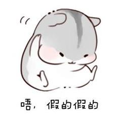 留学国家鄙视链排名法国,法国留学是什么体系