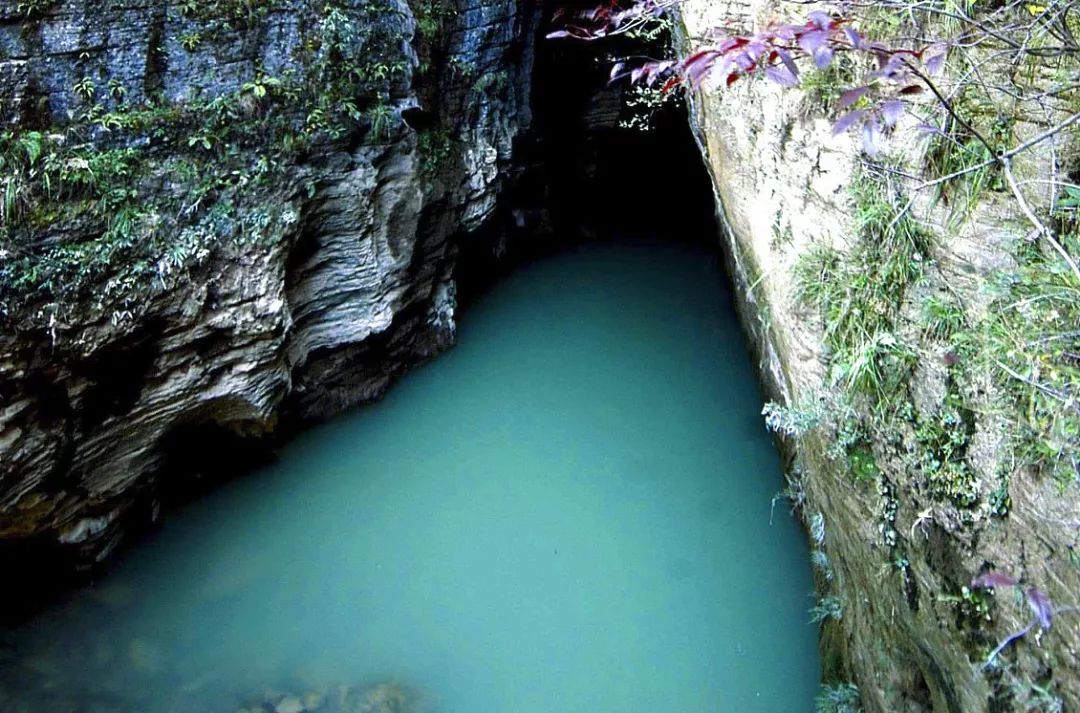 认识世界从哪里开始,认识世界从认识什么开始