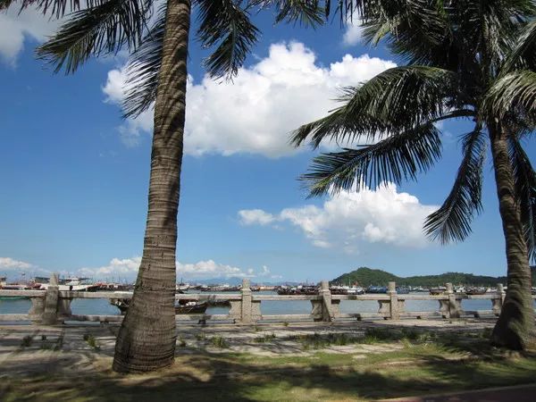 珠海|Onenightin珠海，你为了什么会留下来？