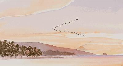 秋日书单|22家出版品牌联合赠书