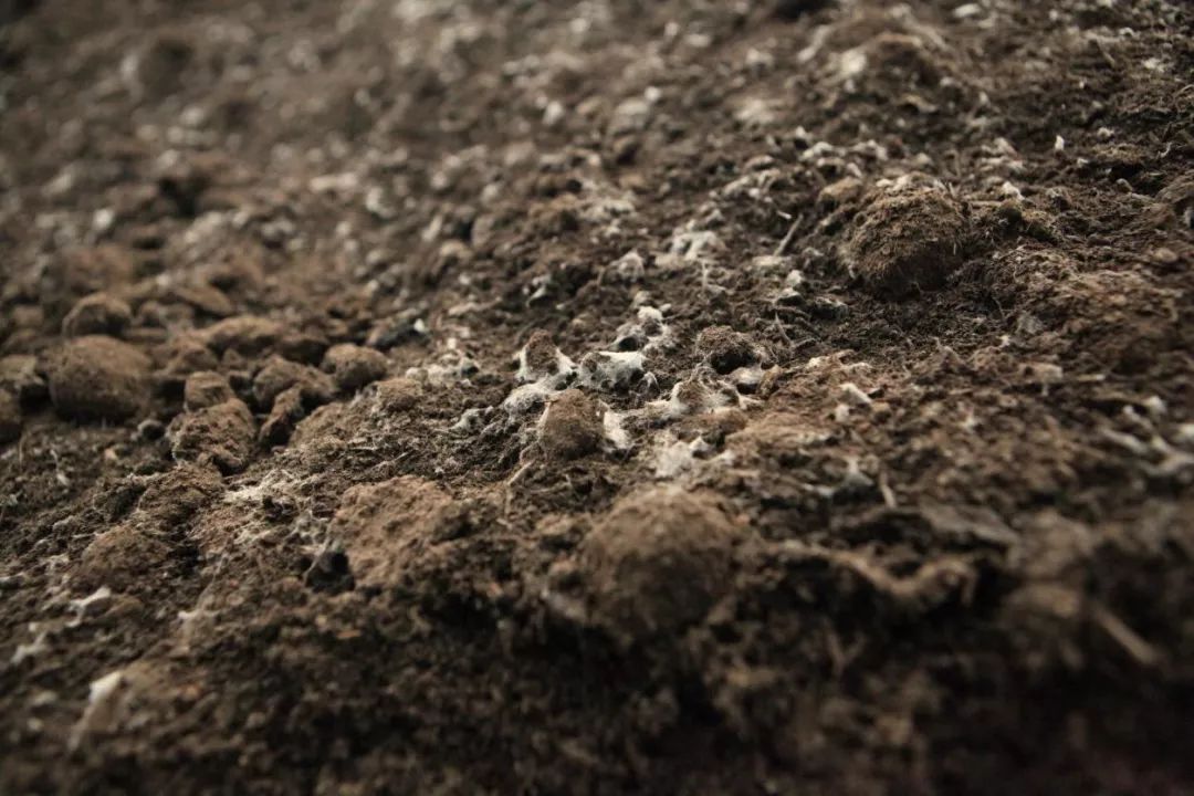 有机肥市场需求广阔,国内十大生物有机肥前10排名