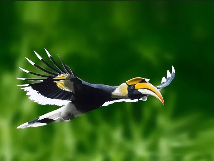 畅玩云南,畅玩永鸿动物园