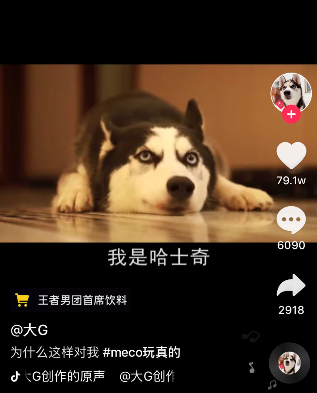 李佳琦浪胃仙小团团,李佳琦浪胃仙抖音