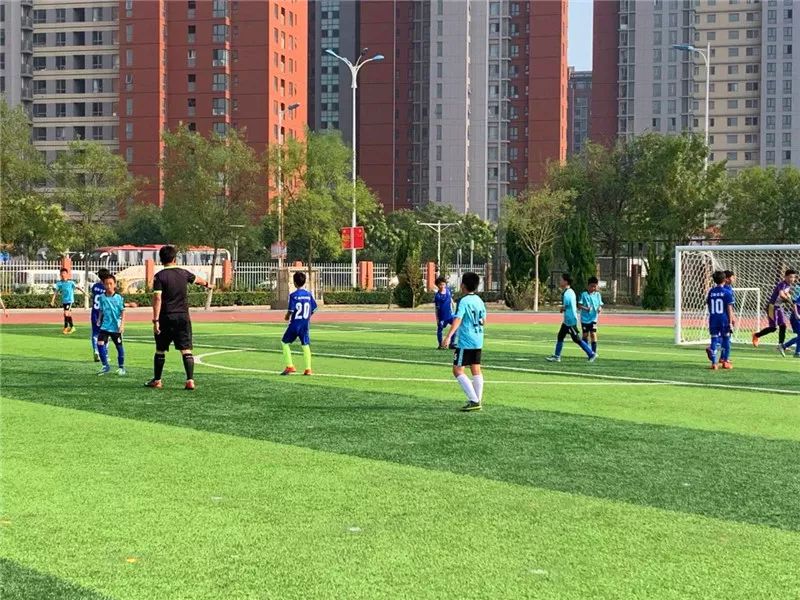 泰达足球学校,泰达中小学篮球比赛