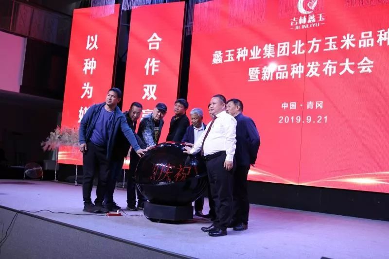 抗性型玉米,抗性最好的玉米品种