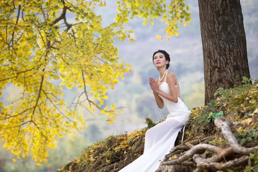 散文诗等你回头,等散文诗原文