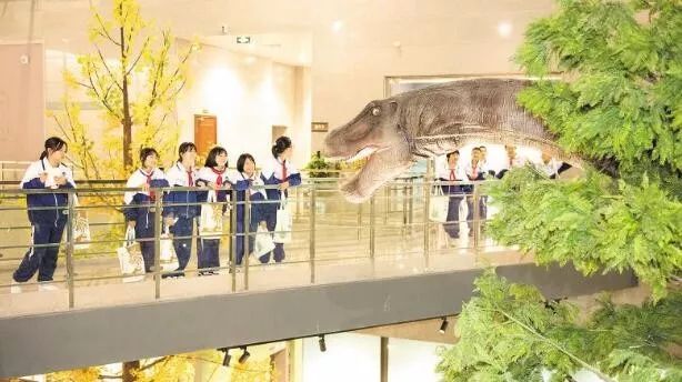 长沙适合秋季打卡的景点,长沙冷门景点旅游攻略推荐