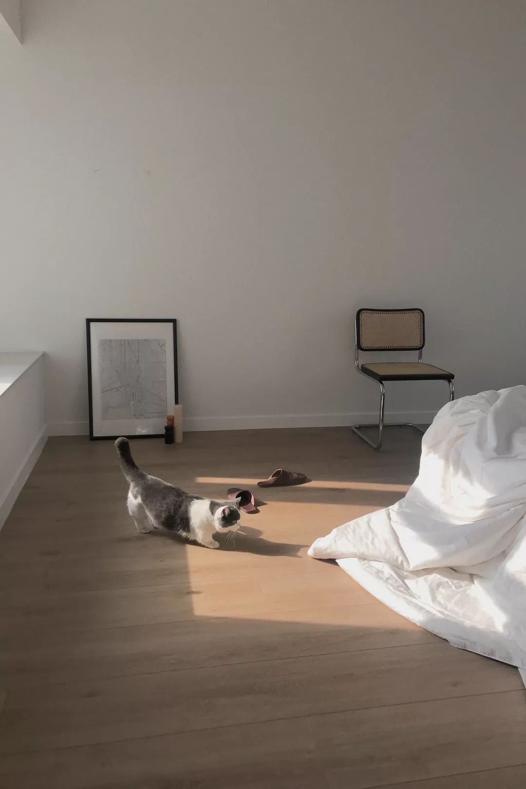 HomewithSS|家的进化论