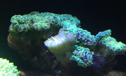 sps哪家更实用,sps怎么操作