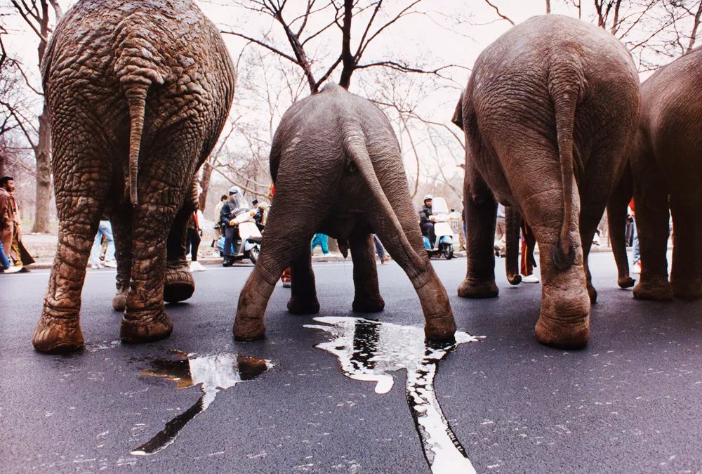 徕卡大师拍摄,徕卡相机摄影大师