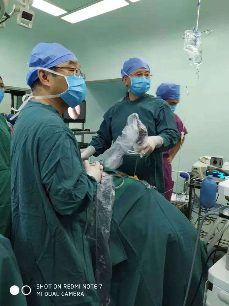 鼻整形实战技术高峰论坛,鼻科学