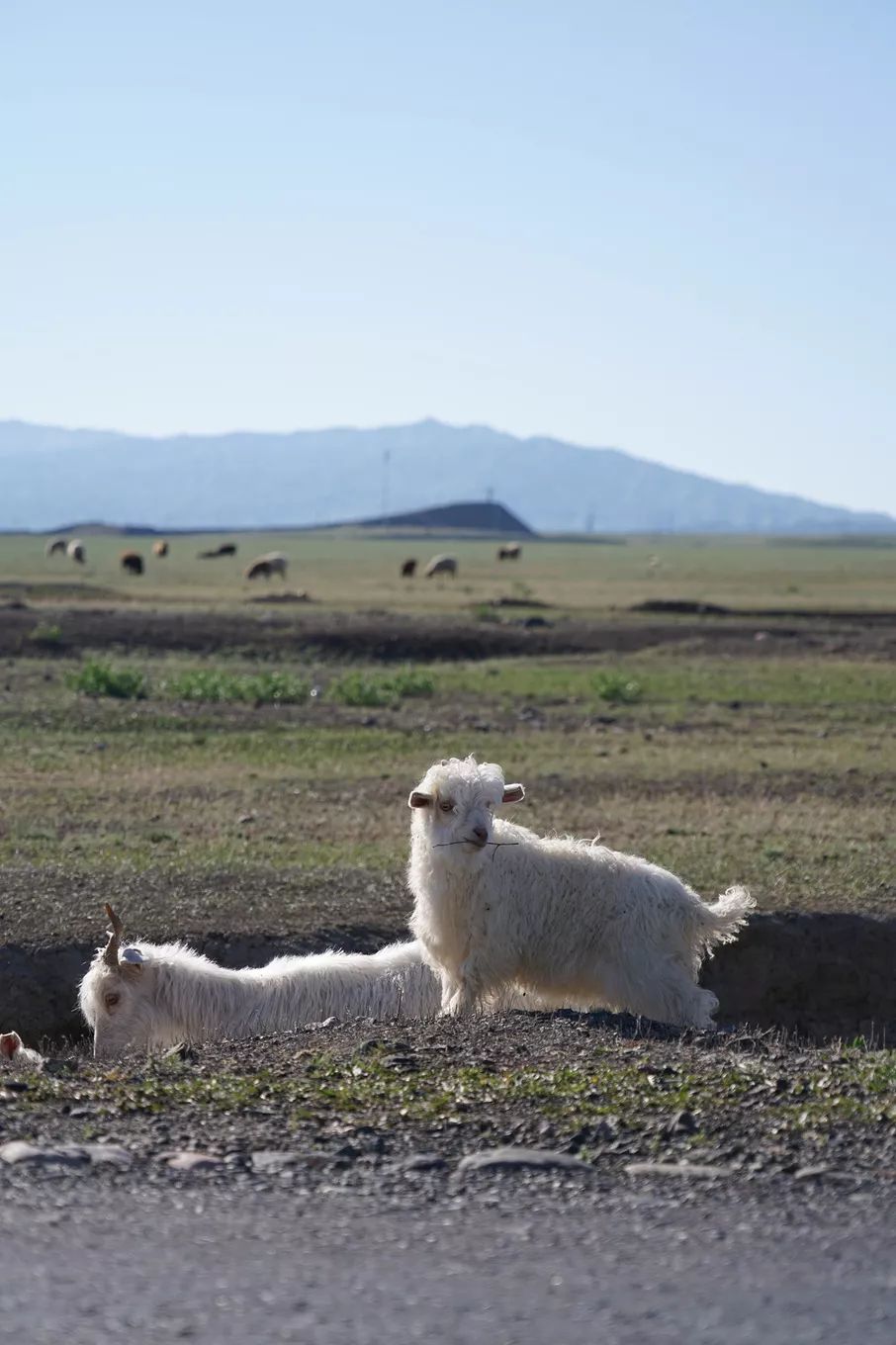 选好出行路线,选日期出行