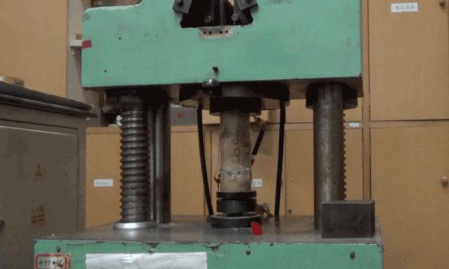 竹子的优点有哪些,竹子很有营养吗