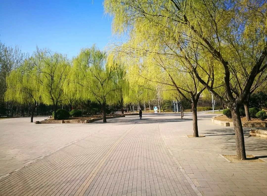 十一生活指南|在公园XX才是正经事