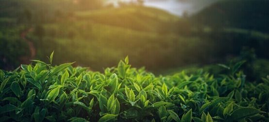 工作干烦了又怕不挣钱了怎么办,工作很赚钱但是干得不开心怎么办