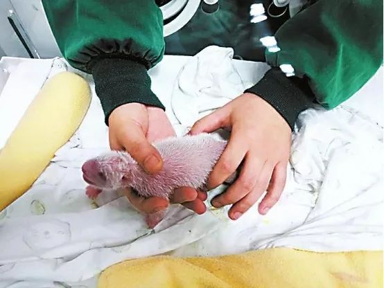 方志四川直播,四川方志直播间