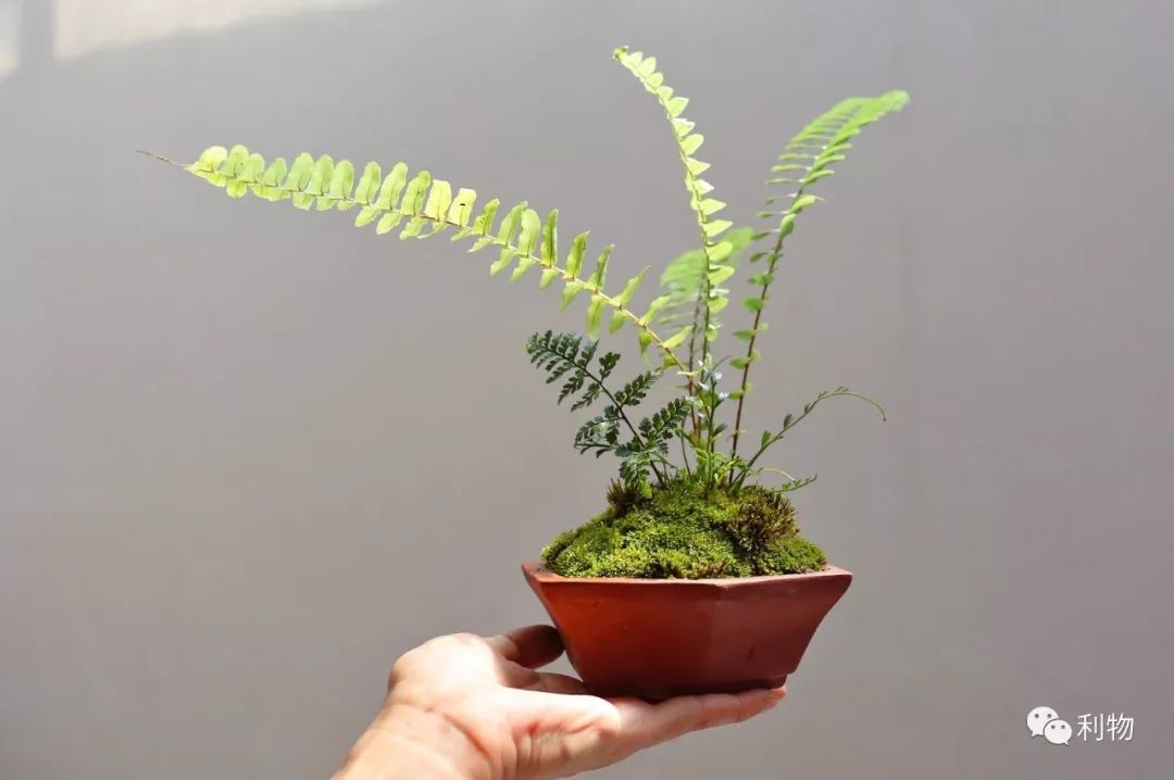 好物分享秋季爆款,秋秋好物分享推荐