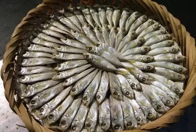 海鲜市场纯天然的7种鱼,水产市场什么鱼可以回家养