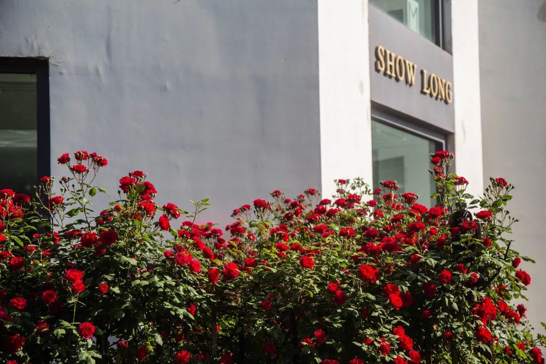 热点|国家级荣誉！山东舒朗获评“2019年全国质量标杆”