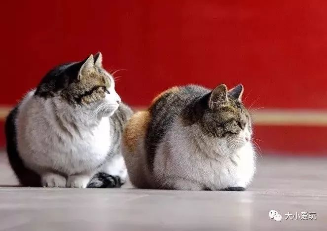 北京必去12个地方旅游攻略,北京小众省时游玩攻略