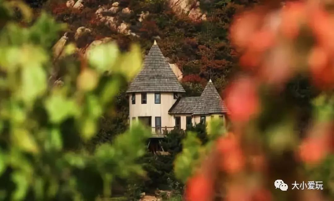 北京必去12个地方旅游攻略,北京小众省时游玩攻略